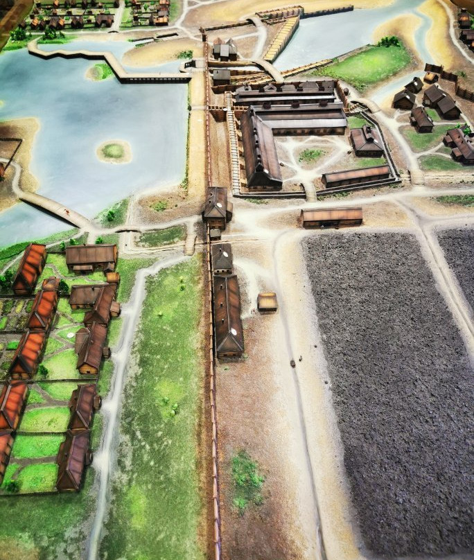 Suzun Plant. Mint-Suzun必去景点