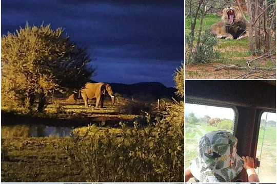 Galago Tours & Safaris Namibia-温德和克必去景点