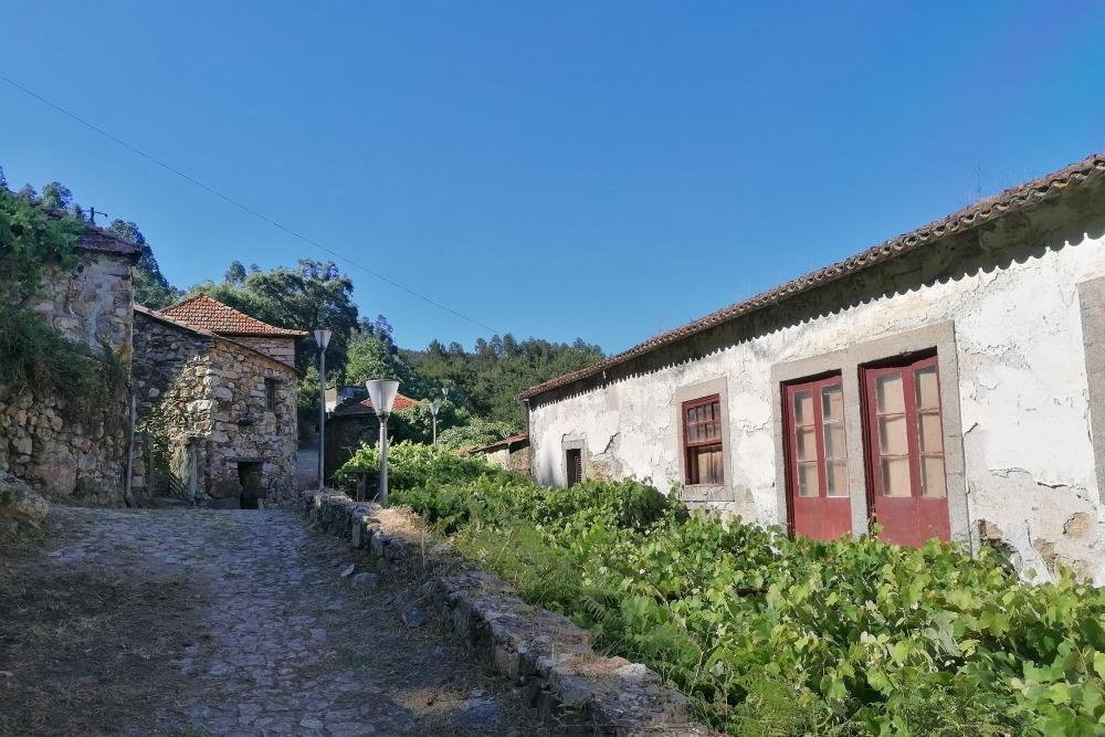 Hike in Porto景点图片