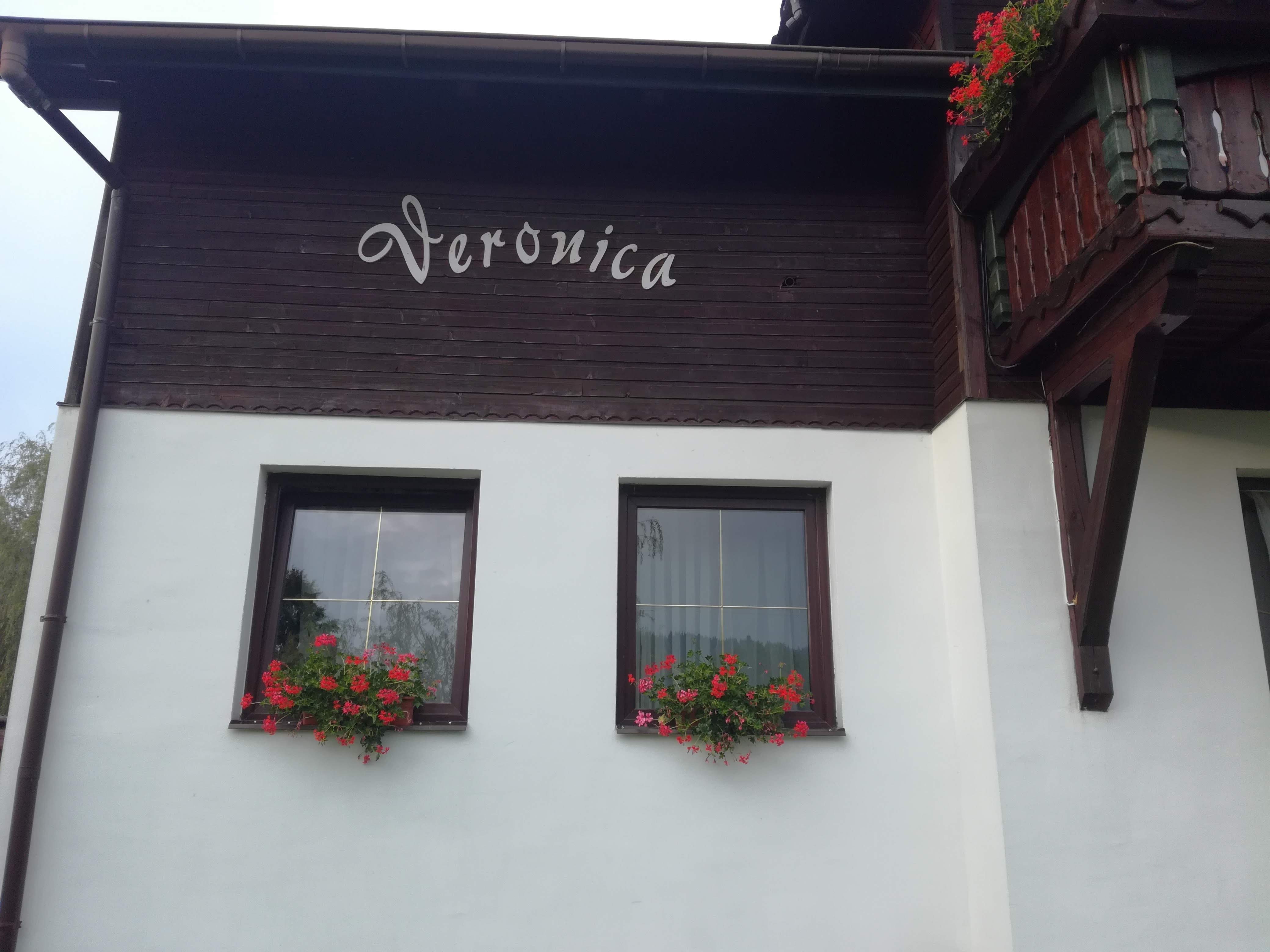 Pensiunea Veronica-官方