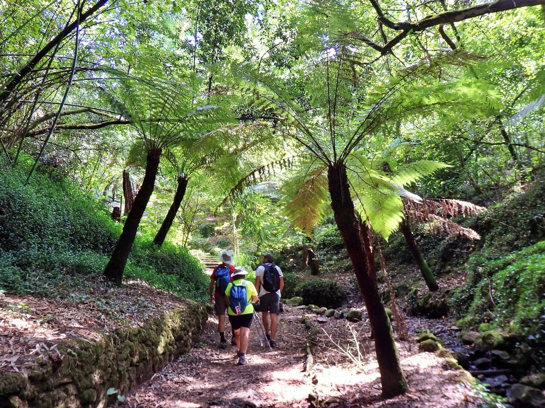 Aventuras Forte(s) - Turismo de Natureza-科英布拉区必去景点