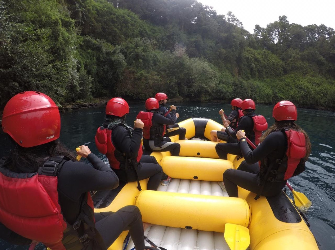 Rio Bueno Expediciones-Lago Ranco必去景点