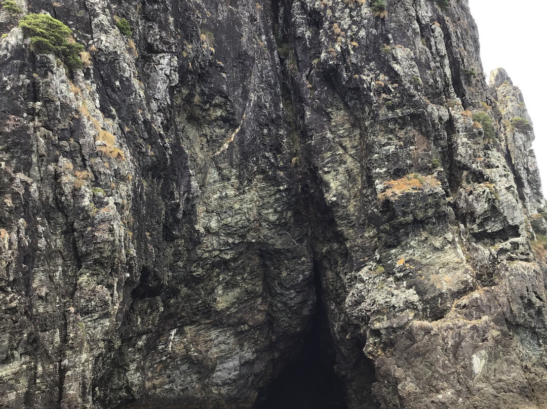 Poor Knights Island Marine Reserve景点图片