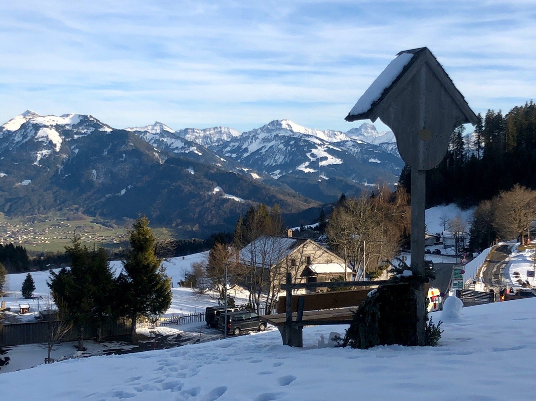 Bodele Alpenhotel主图