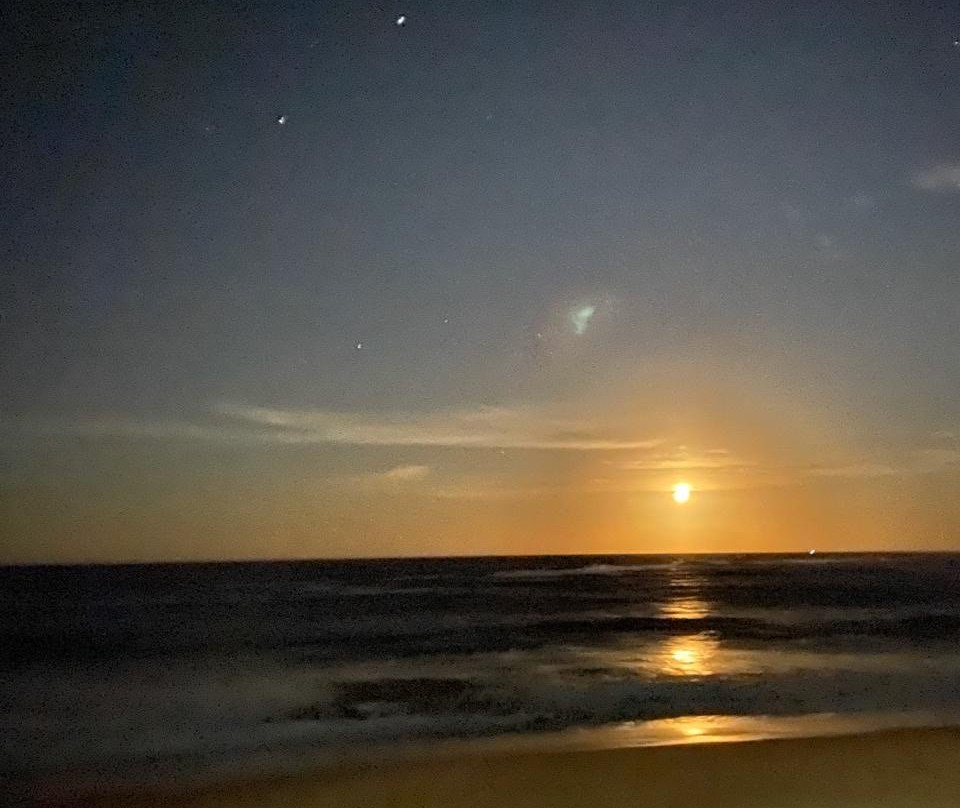 Bicho-preguiça Ecoturismo-Itacare必去景点