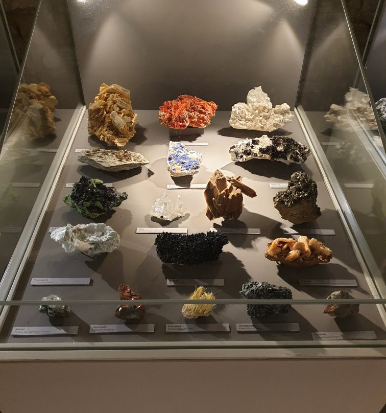 Naturkundemuseum-爱尔福特必去景点