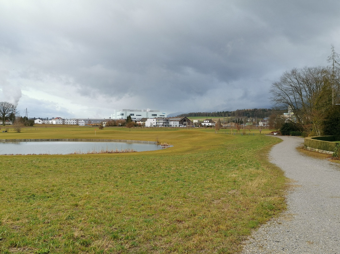 Park Forum Wylihof主图