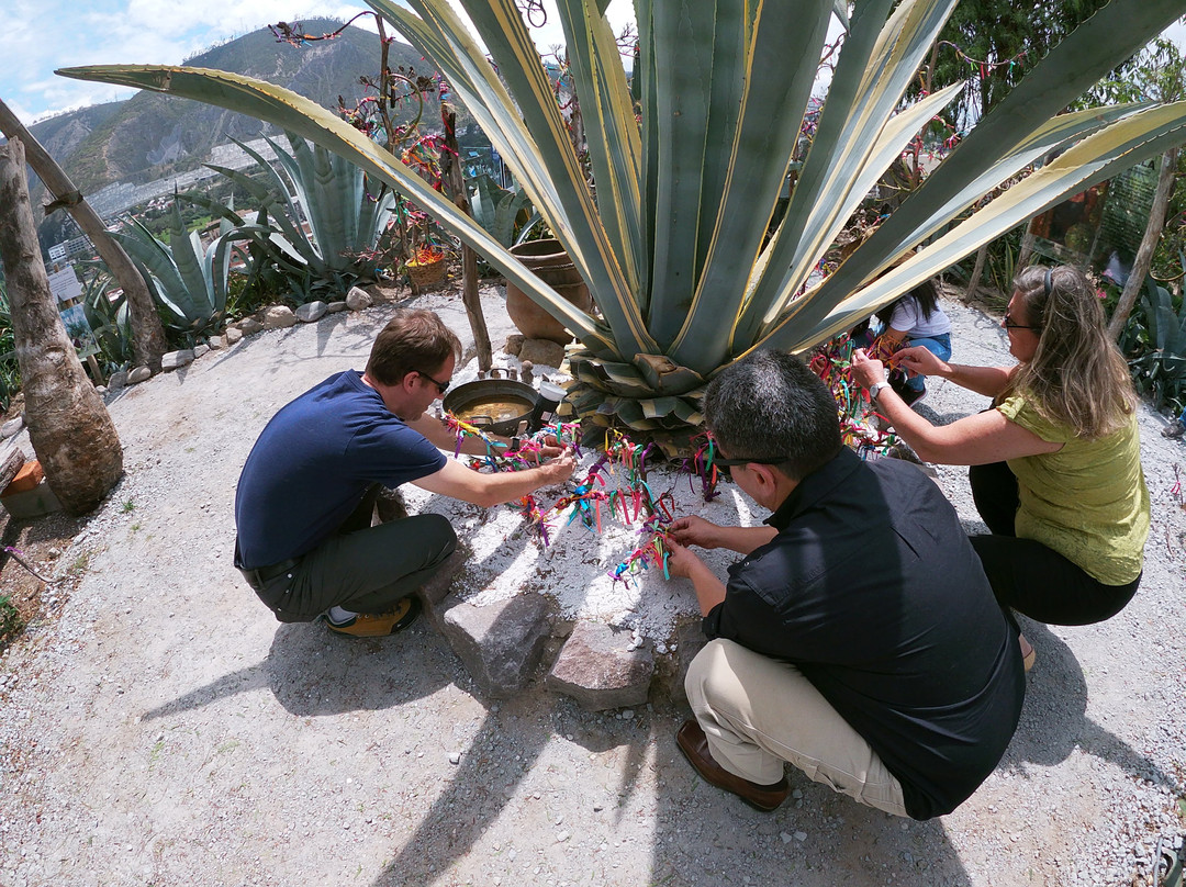 Agave Spirit景点图片