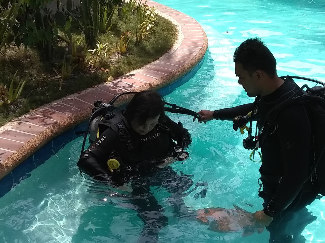 Polaris Beach and Dive Resort主图