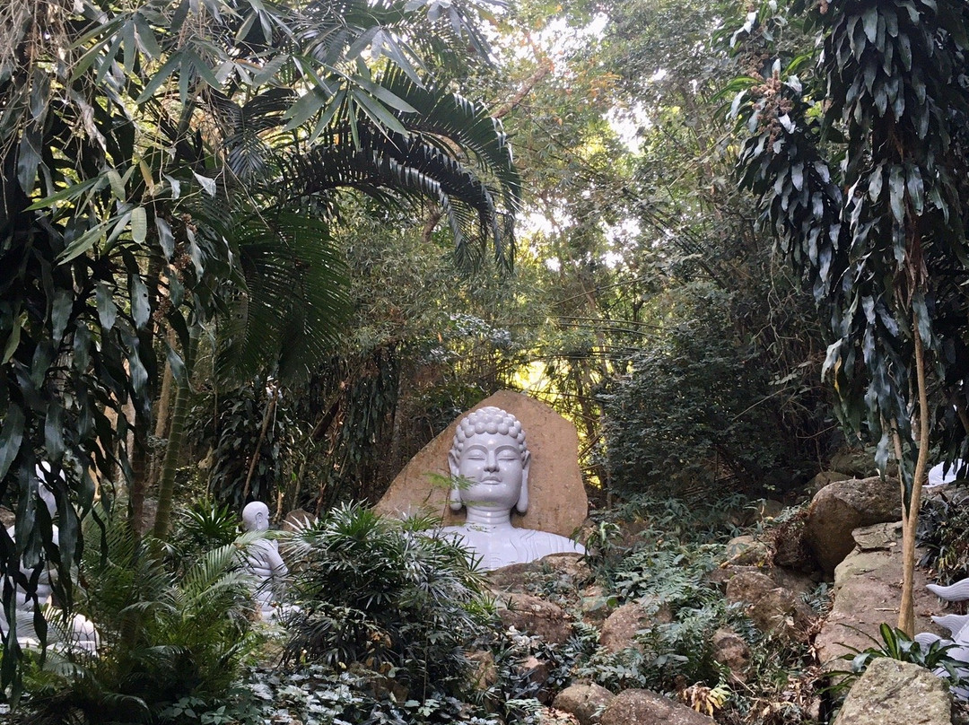 Mount Thi Vai景点图片