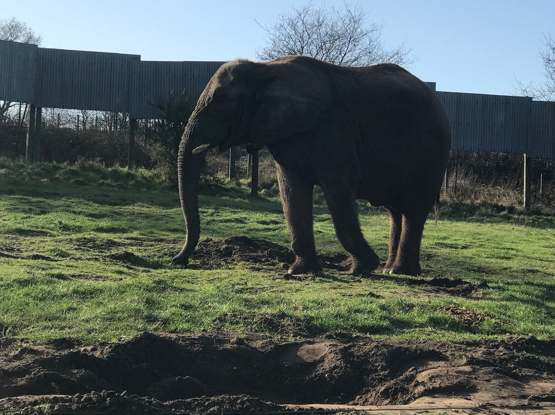 West Midlands Safari Park-Bewdley必去景点