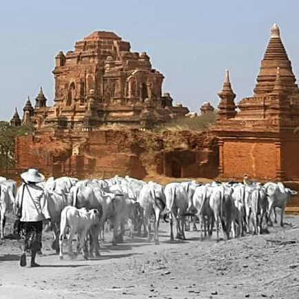 Bagan Guide Myanmar-良乌必去景点