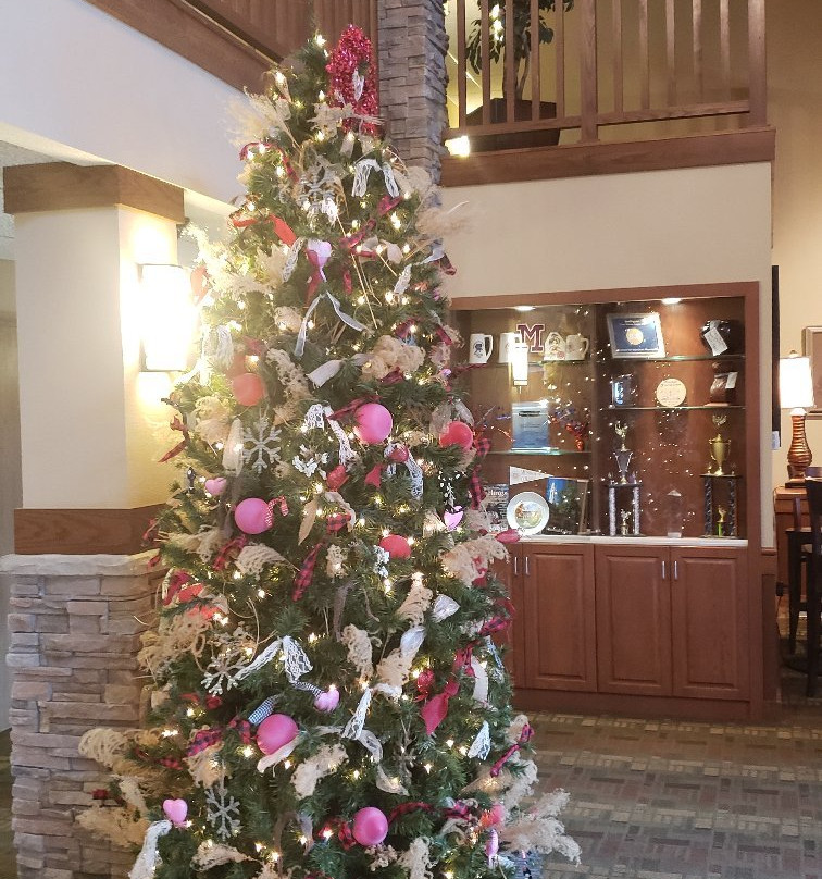 AmericInn by Wyndham Monmouth主图