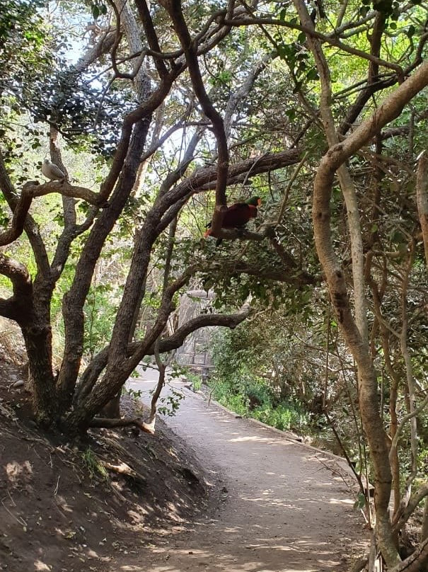 B & B Campomar de Santo Domingo主图