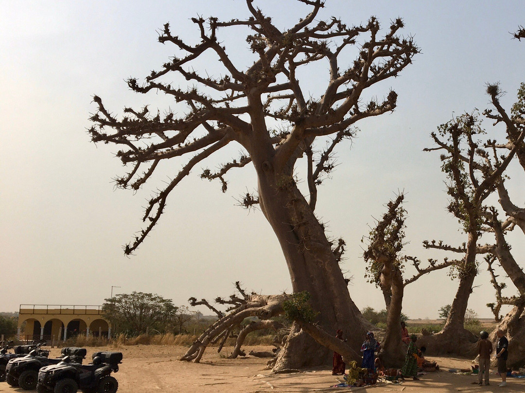 Saly quad passion景点图片