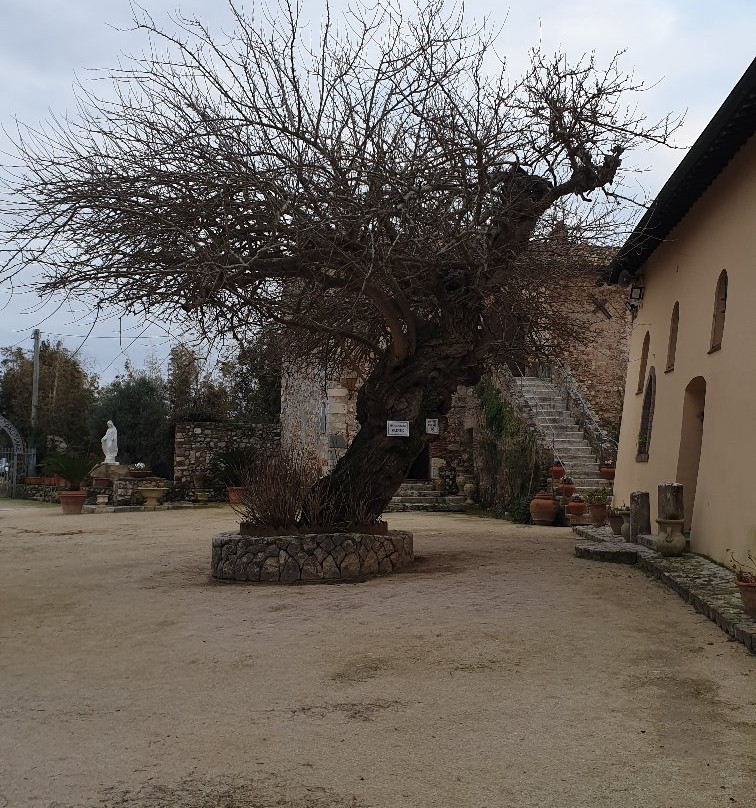 Chiesa della Madonna della Sorresca景点图片