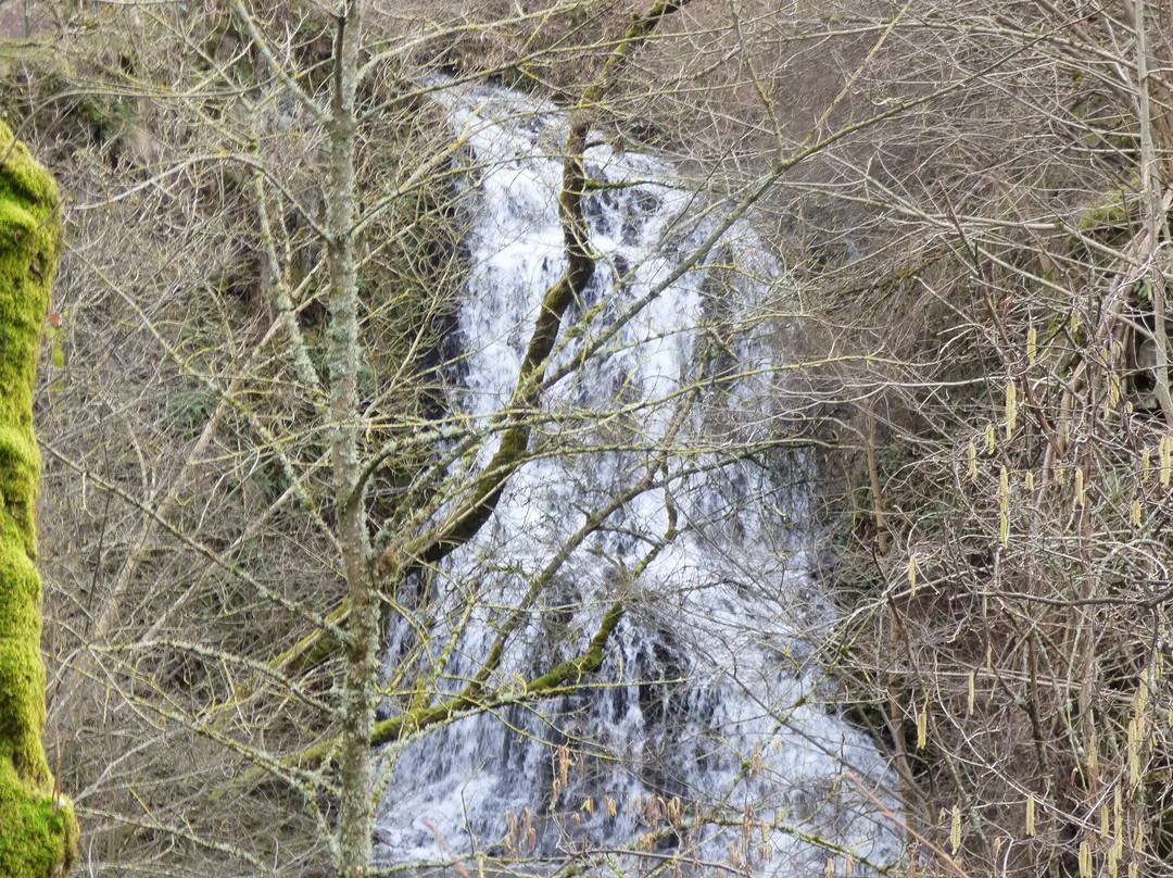 Cascade des Saliens景点图片