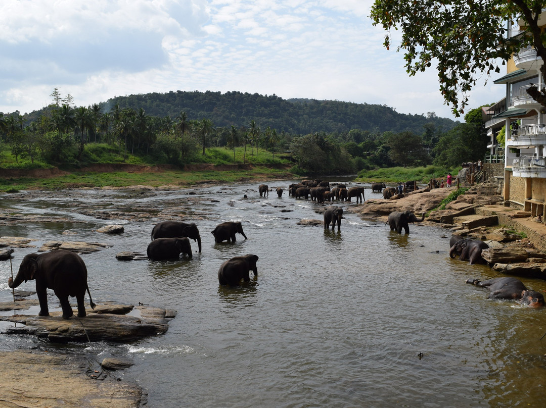 大象海湾酒店主图