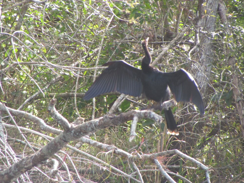 Gulf Coast Visitor Center-大沼泽地必去景点