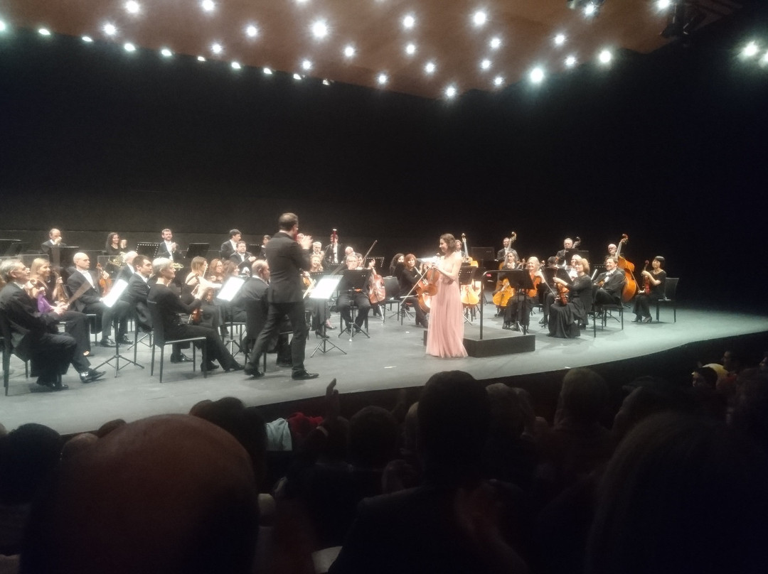 Auditori De Manacor景点图片