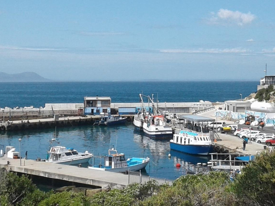 Xena Travel and Tours-开普敦中心区必去景点