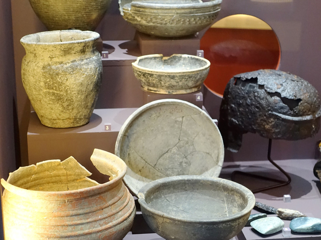 Musee Bargoin景点图片