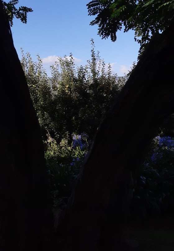 Elgin Country Lodge主图