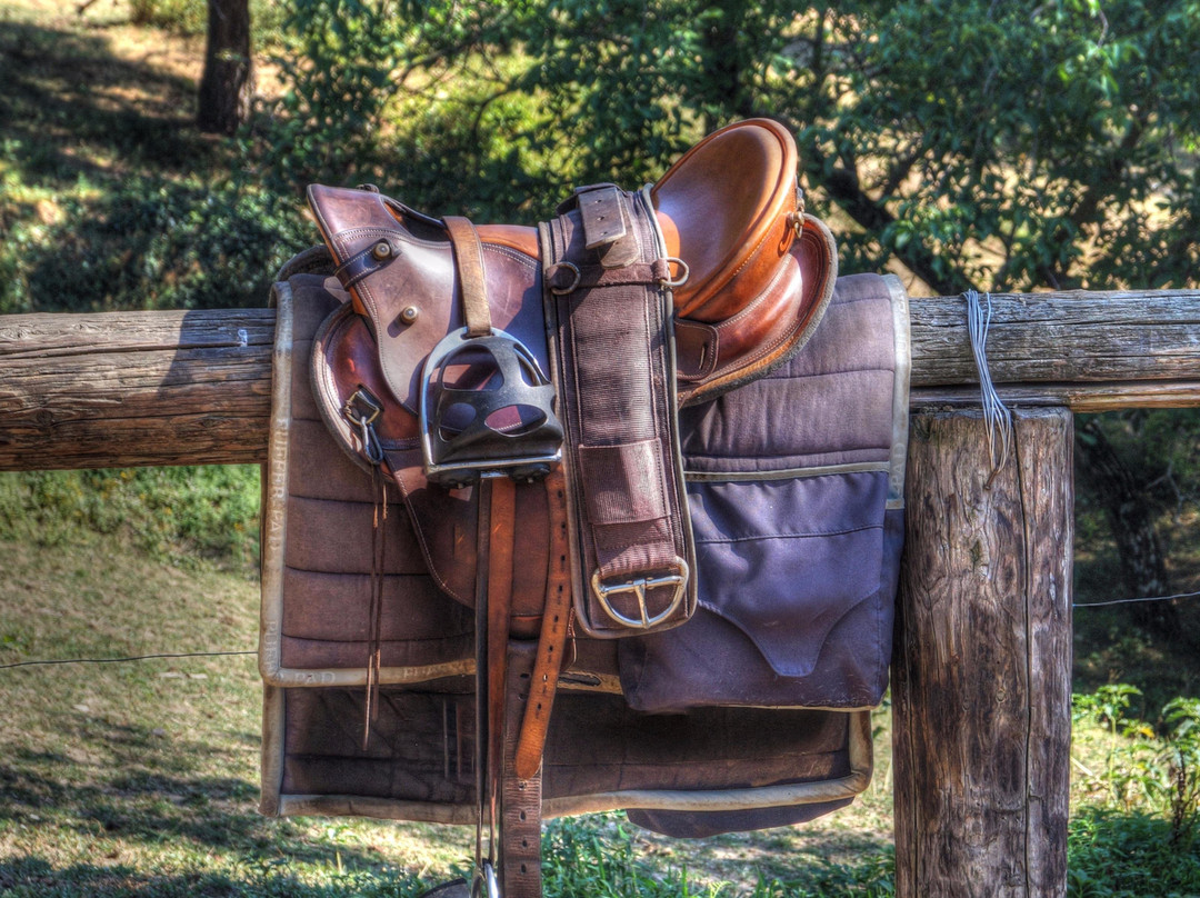 Finca Los Alcaravanes-Rozo必去景点