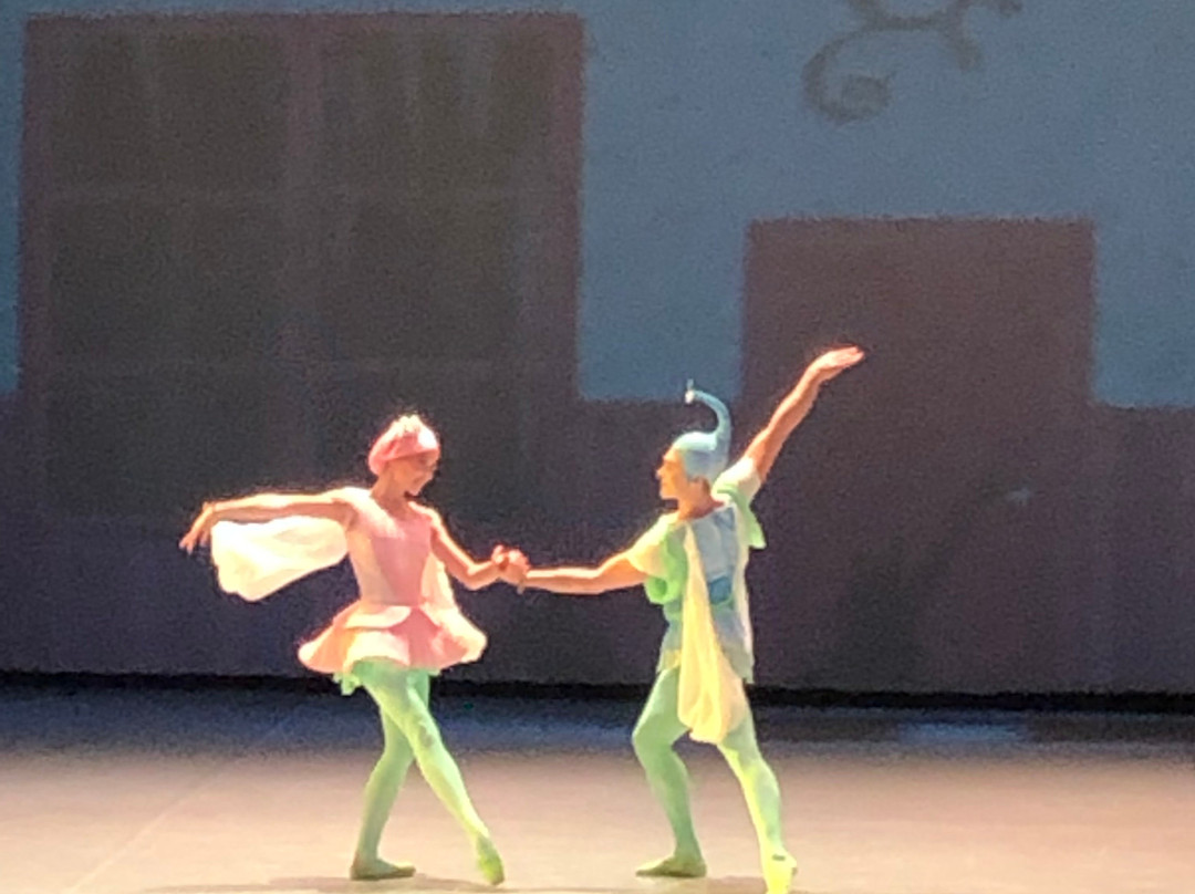 Theatre Ballet Moscow-莫斯科必去景点