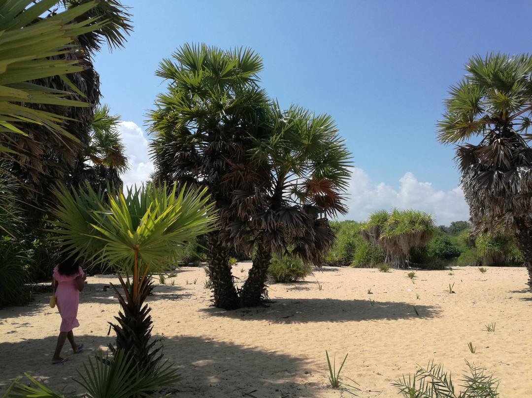 Batticaloa Eco Park-拜蒂克洛必去景点