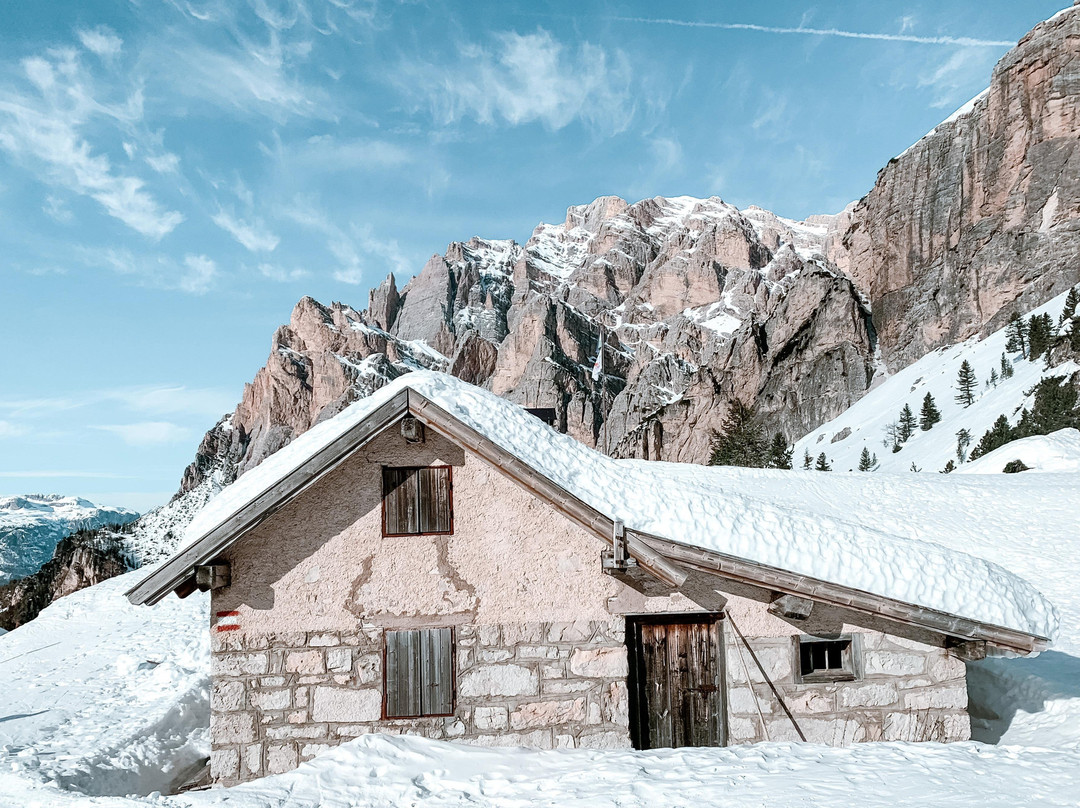 AlpineItaly Travel Club景点图片