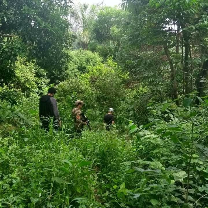 P.A.C. - Pinhalzinho Airsoft Camp景点图片