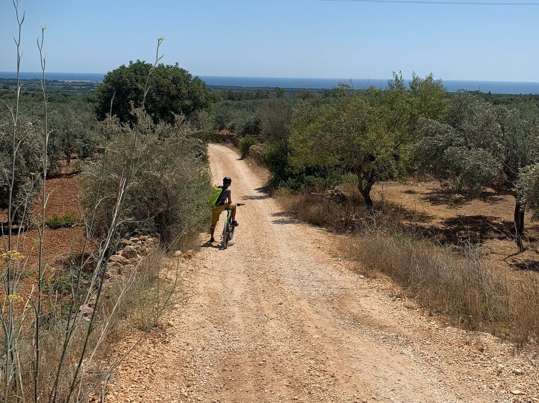 Let's BIKE Sardinia-Sos Alinos必去景点