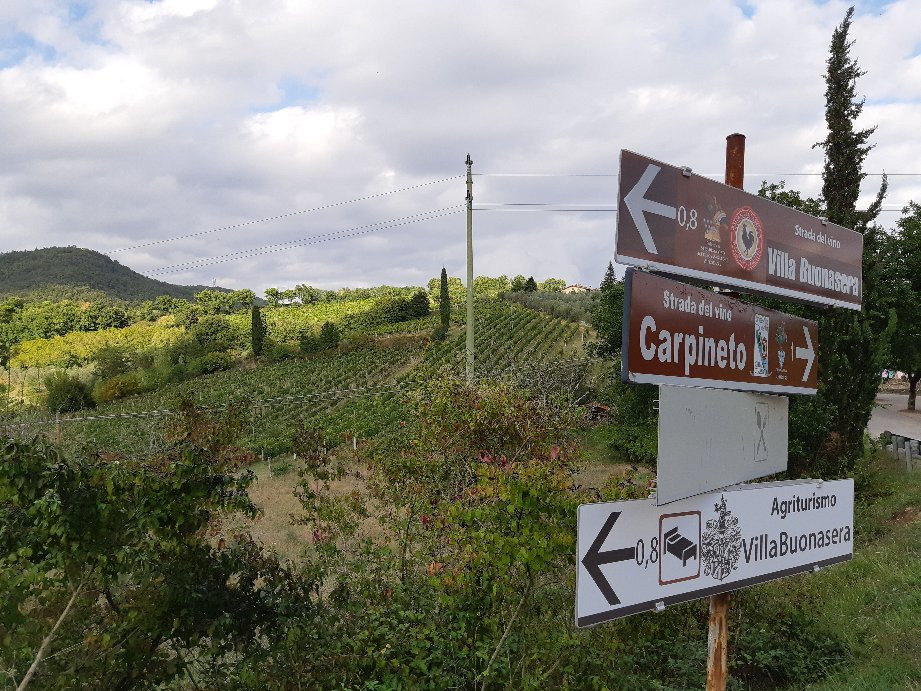 Carpineto-格雷韦伊恩基亚恩蒂必去景点