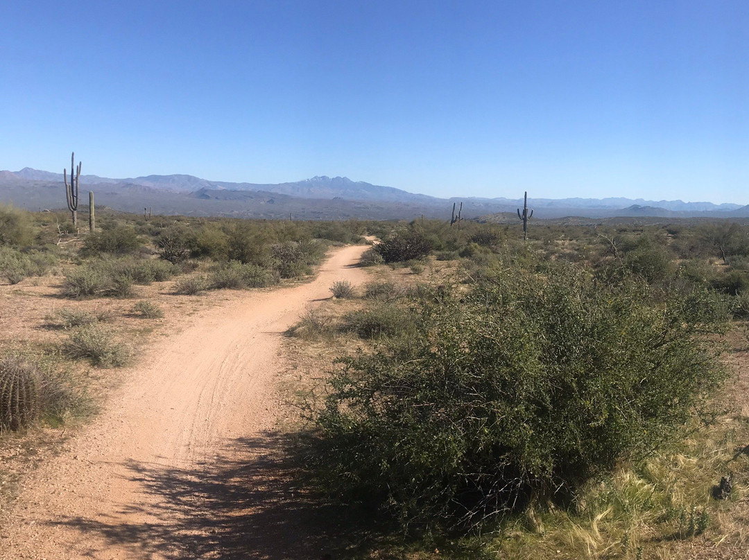 Mcdowell Mountain Cycles景点图片