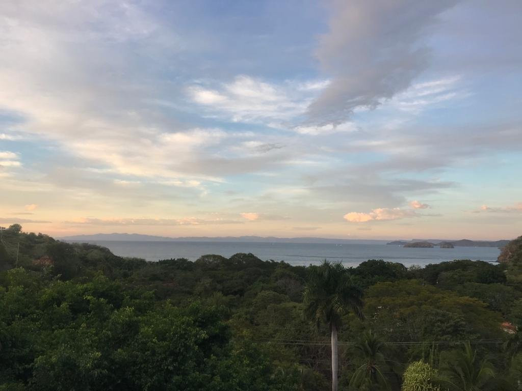 Pura Vista Hotel主图