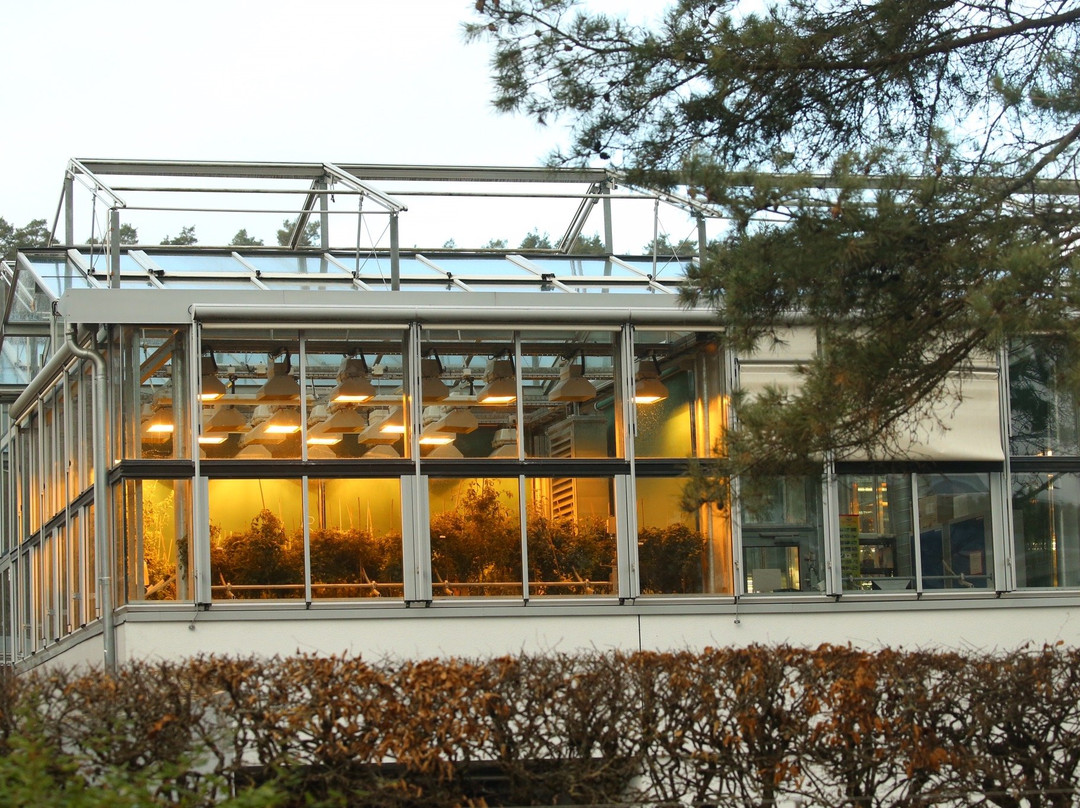 Botanischer Garten der Universitat Tubingen景点图片