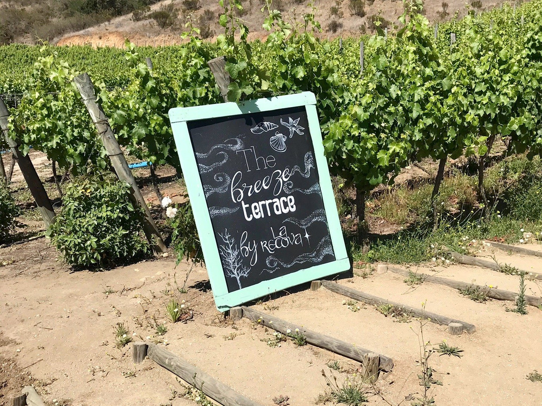 La Recova Wines-卡萨布兰卡必去景点