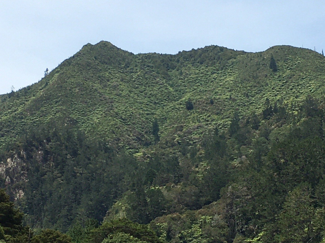 Hauraki Cycle Trail景点图片