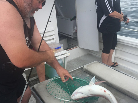 Blue Sea Charters-派希亚必去景点