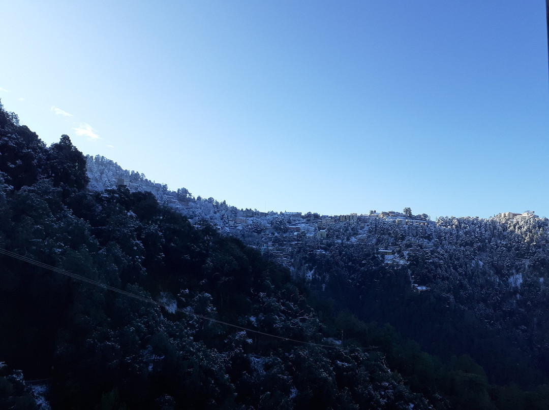 The Oaktree House主图