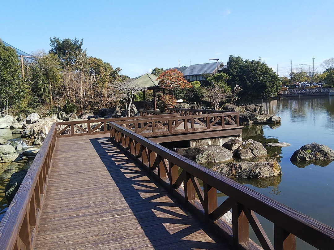 Wanpaku Kochi-高知市必去景点