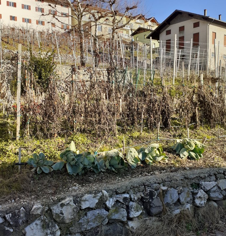 Casa Preti Agriturismo主图