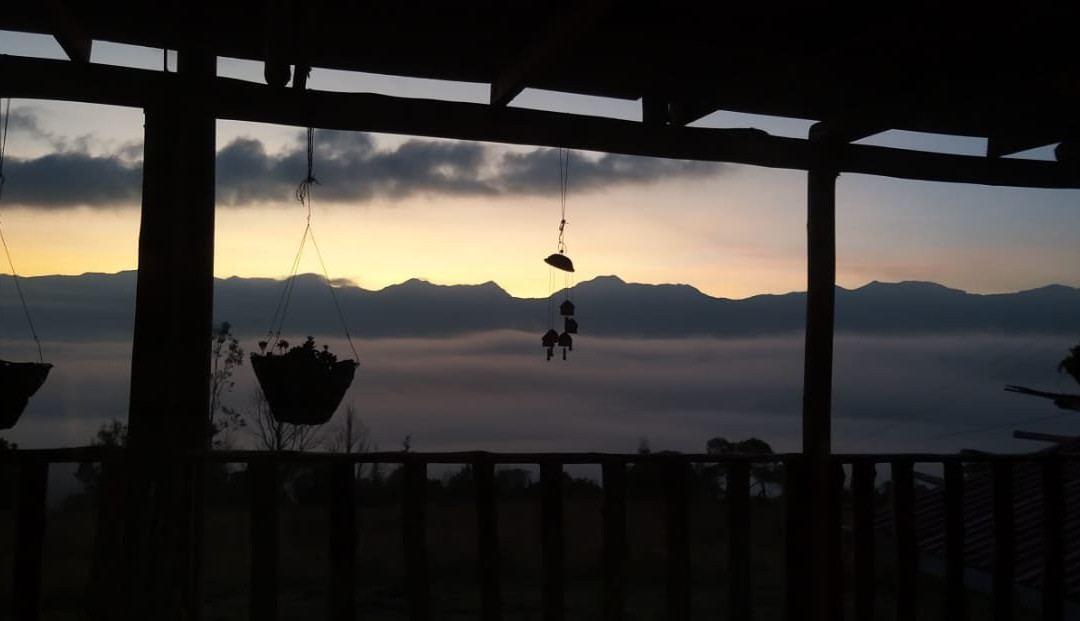 Cabana Biofilia, Refugio De Arte Y Naturaleza