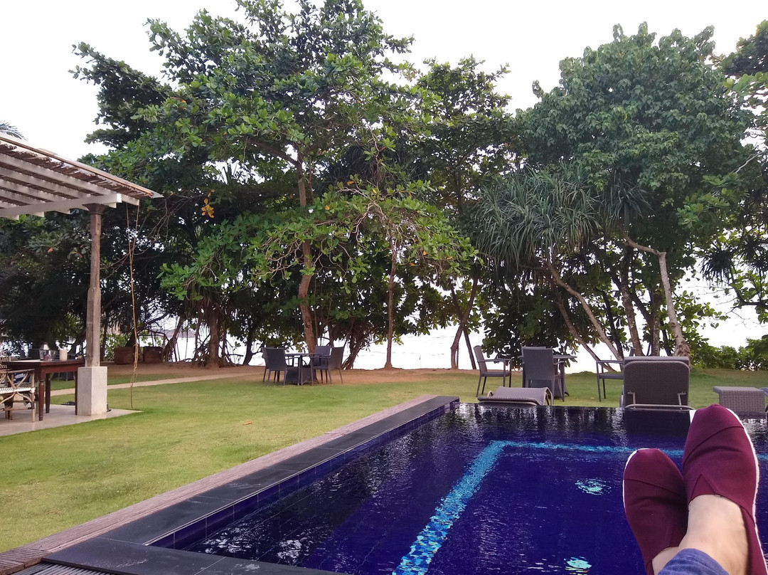 Zephyr Talalla主图