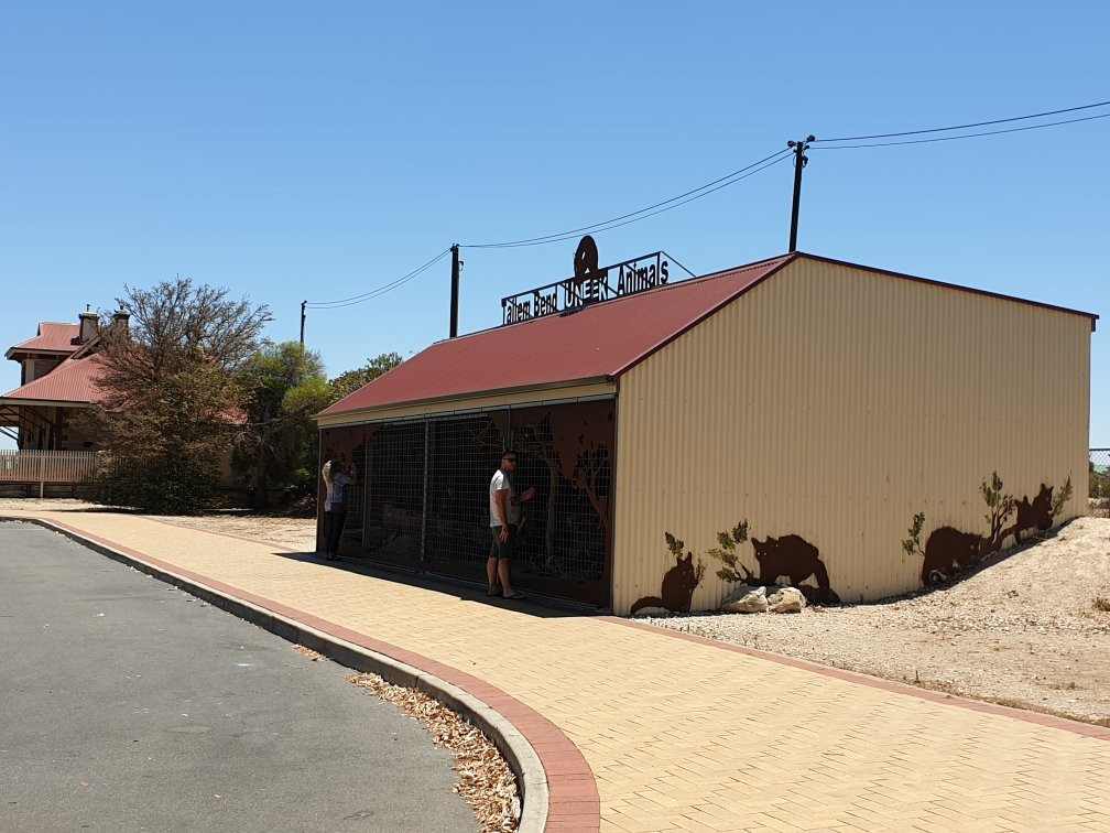 Uneek Animals-Tailem Bend必去景点