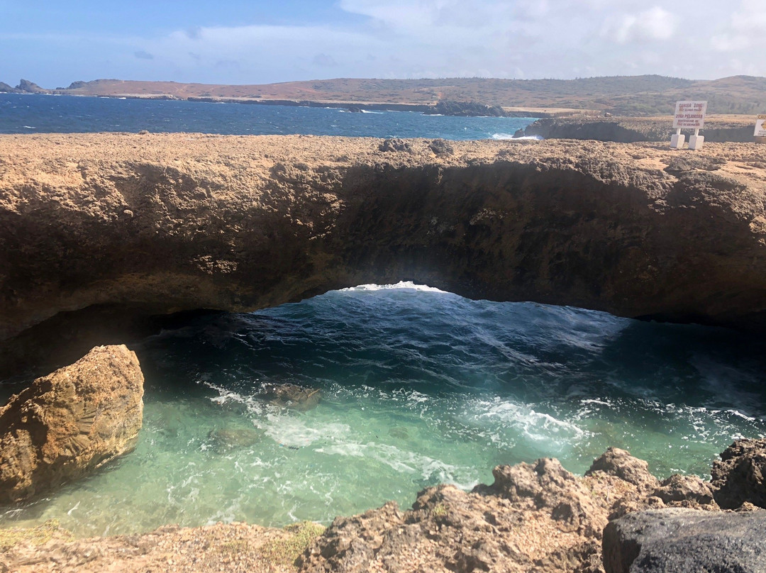 Private Island Tours Aruba-奥腊涅斯塔德必去景点