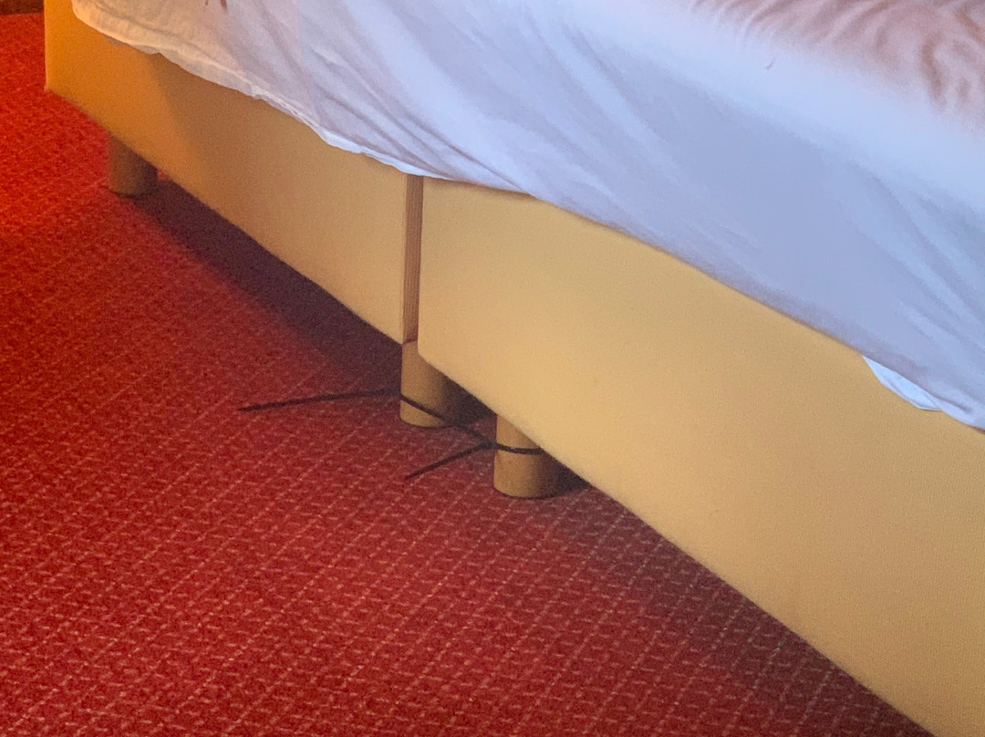 Das Central City Boutique Hotel主图