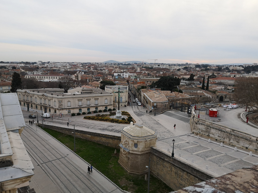 Office de Tourisme & des Congrès Montpellier Méditerranée Métropole-蒙彼利埃必去景点