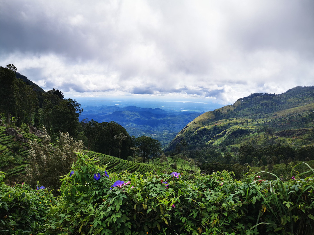 Sri Lanka Brothers Tour景点图片